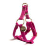 Ombre Harness Magenta